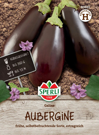 Auberginensamen Galine, F1 Inhalt: 1 Portion