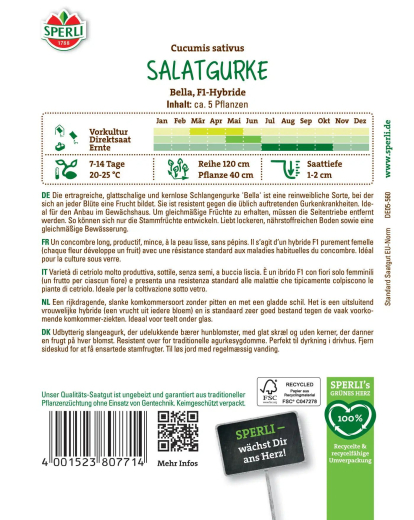 Salatgurkensamen Bella, F1 Inhalt: 1 Portion