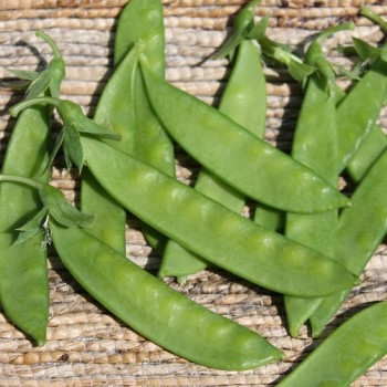 Erbse, Zucker Heraut Norli&nbsp;Inhalt:&nbsp;100 g