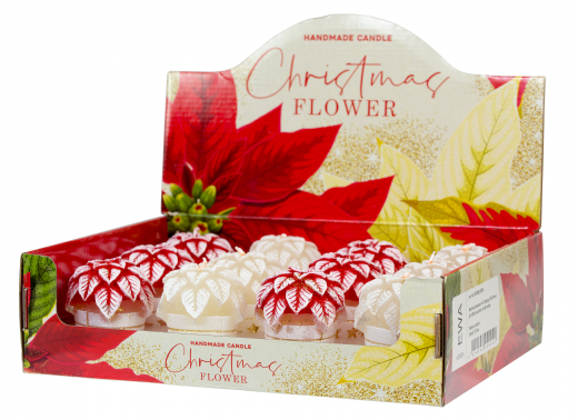 Mini Weihnachtsstern 1 Stück Ø  60 mm Höhe 70 mmChristmas Flower Farbe:  rot oder weiß