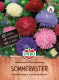 Asternsamen Amerikanische Busch-Mischung Inhalt: 1 Portion