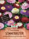 Asternsamen Pompon-Mischung Inhalt: 1 Portion