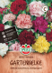 Gartennelkensamen SPERLIs Colorista Inhalt: 1 Portion