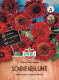 Sonnenblumensamen SPERLI's Rote Sonne Inhalt: 1 Portion