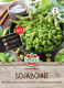 Sojabohnensamen Summer Shells Inhalt: 1 Portion