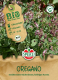 BIO Oreganosamen Inhalt: 1 Portion