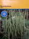 Buschbohne Maxi&nbsp;Inhalt:&nbsp;100 g