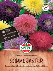 Asternsamen Riesen-Prinzess-Mischung Inhalt: 1 Portion