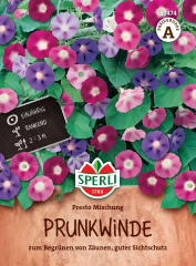 Prunkwindensamen Presto Mischung Inhalt: 1 Portion