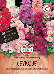 Levkojensamen Großblumige Prachtmischung Inhalt: 1 Portion
