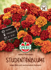Studentenblumensamen SPERLI's Feuerball Inhalt: 1 Portion