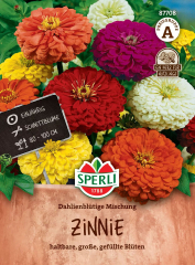 Zinniensamen Dahlienblütige Mischung Inhalt: 1 Portion