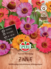 Zinniensamen Forecast Mischung Inhalt: 1 Portion