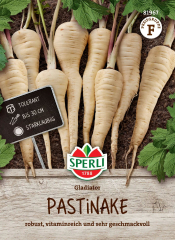 Pastinakensamen Gladiator, F1 Inhalt: 1 Portion