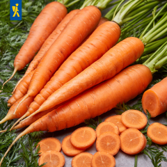 Möhre, Rote Riesen&nbsp;Inhalt:&nbsp;ca. 5g