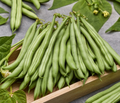 Buschbohne Saxa&nbsp;Inhalt:&nbsp;100 g