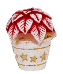 Mini Weihnachtsstern Christmas Flower 1 Stück Ø  60mm Höhe: 70mm Farbe: rot oder weiß